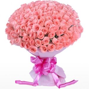 100_pink_roses