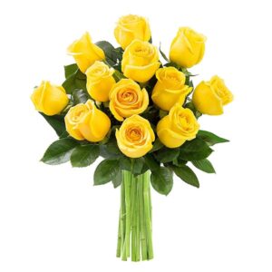 12_yellow_flowers