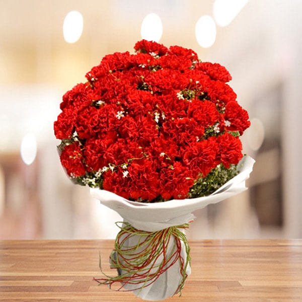 red carnation love