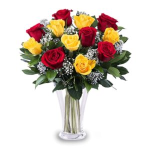 Red and yellow roses