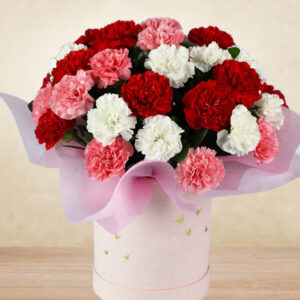 mix carnation in round box